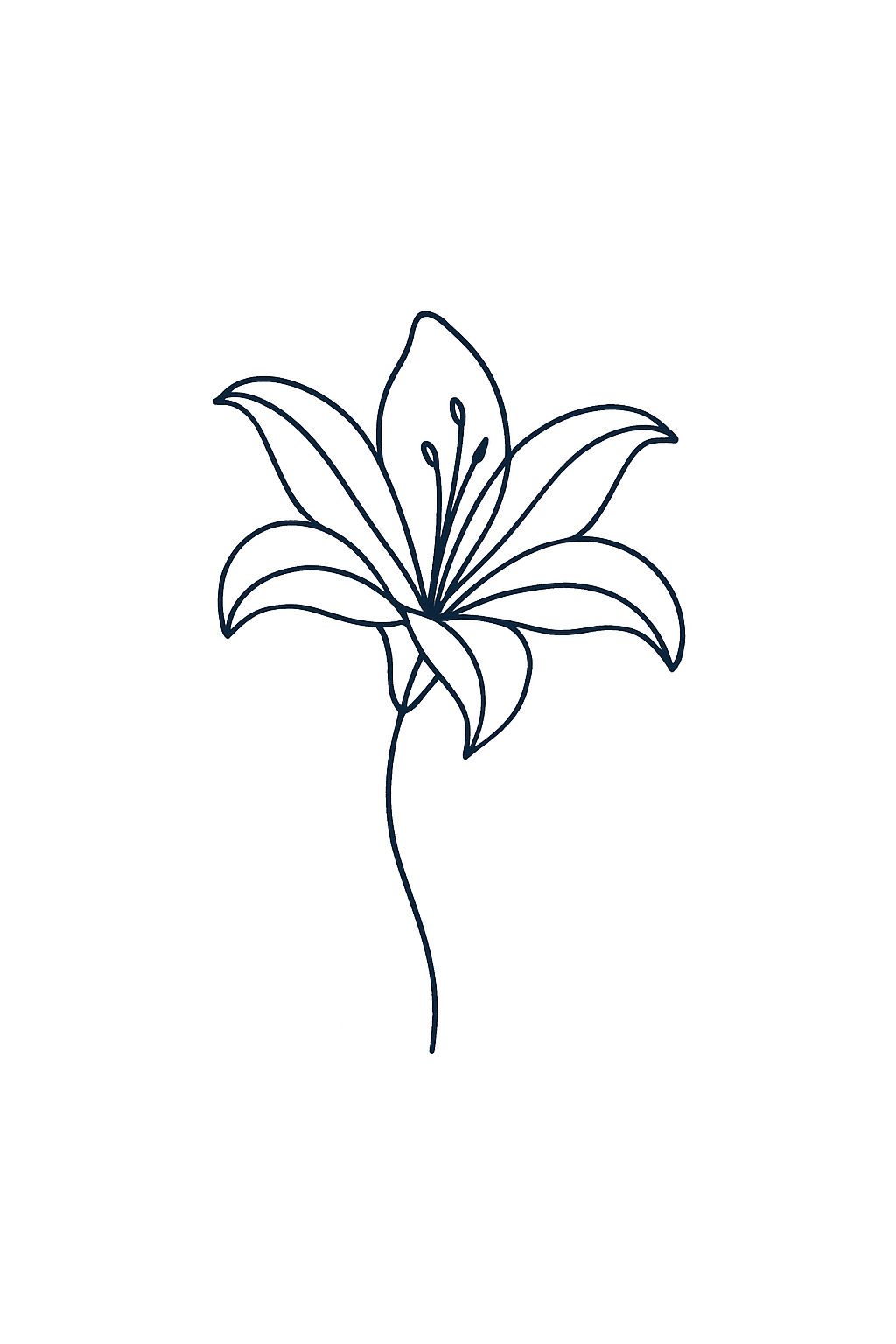 Lys De Minuit