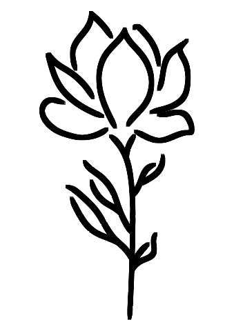 Magnolia de Charleston