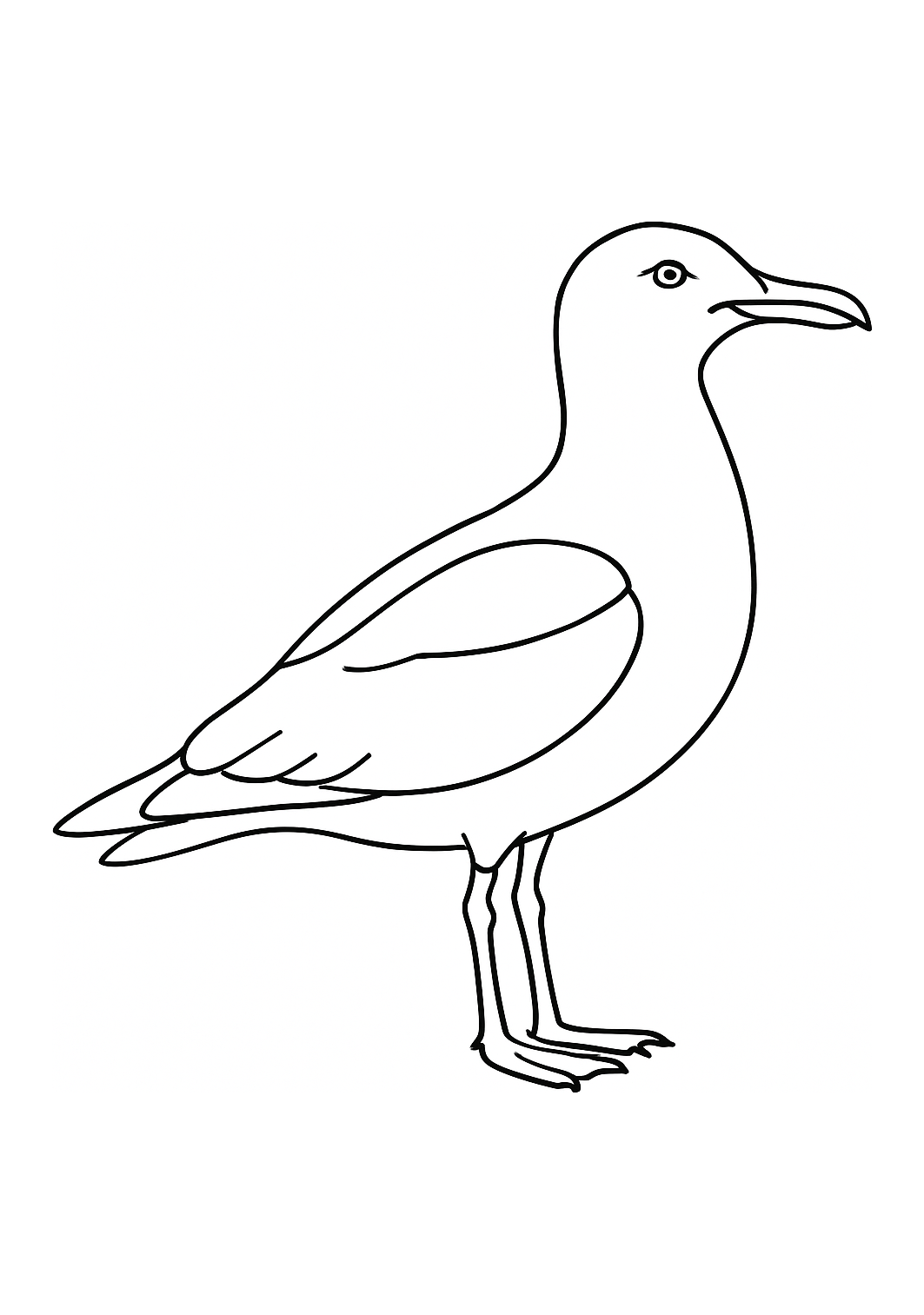 Mouette d’Armorique