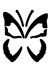 Papillon de Niki