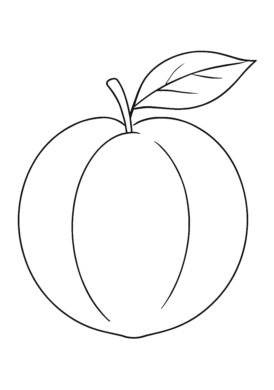 Pêche de Provence