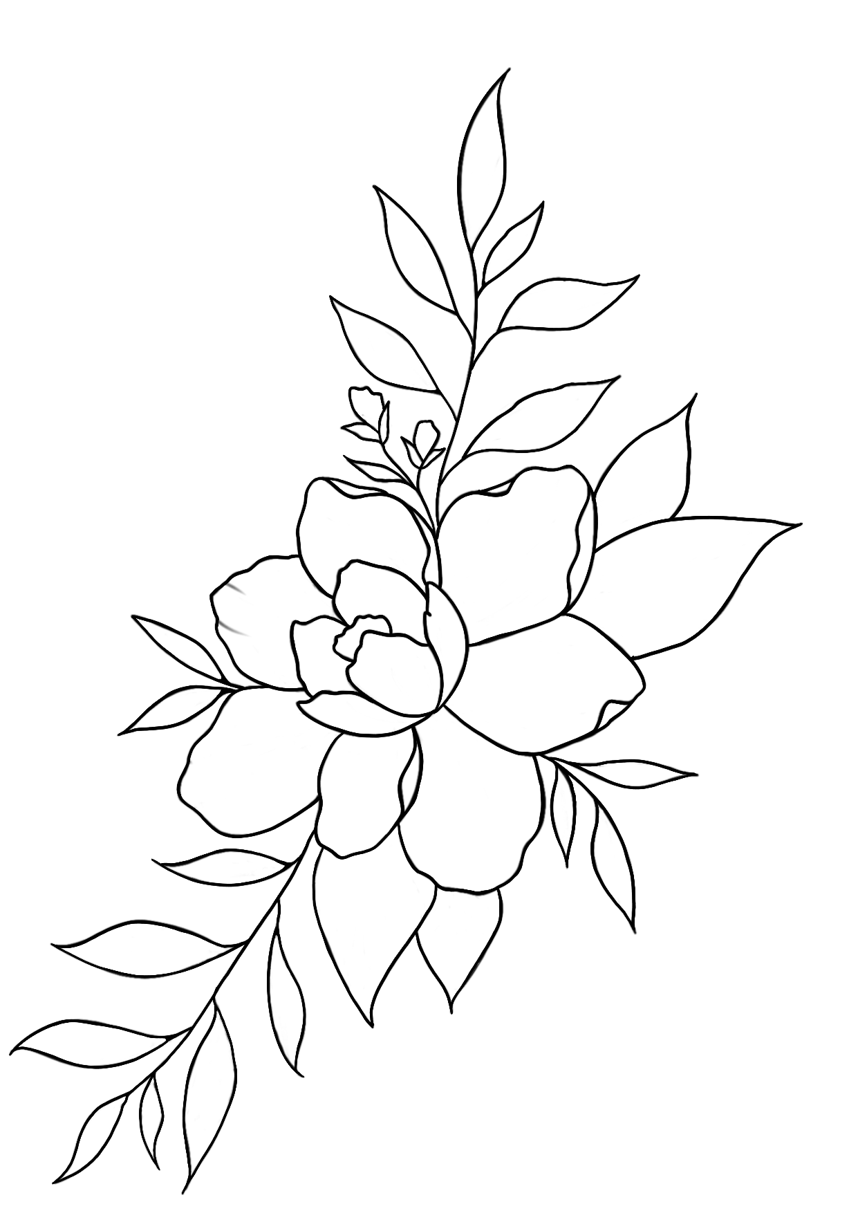 Pivoine D'Ambre
