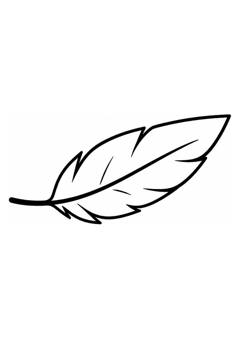 Plume de Volatile