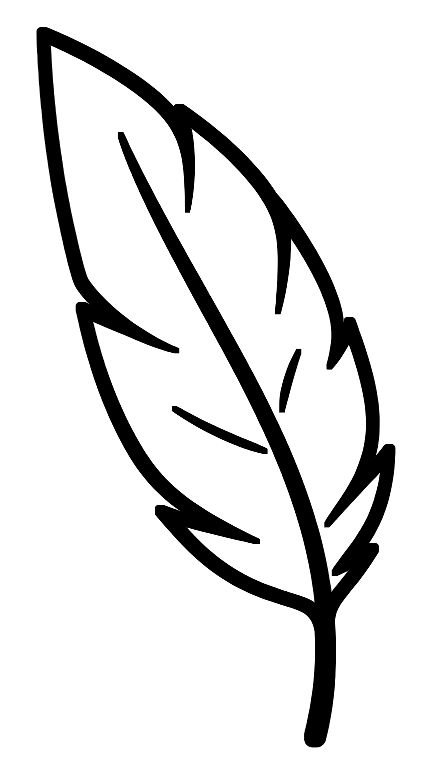 Plume de Volatile