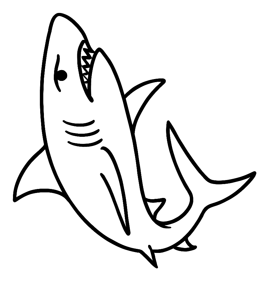 Points de Requin