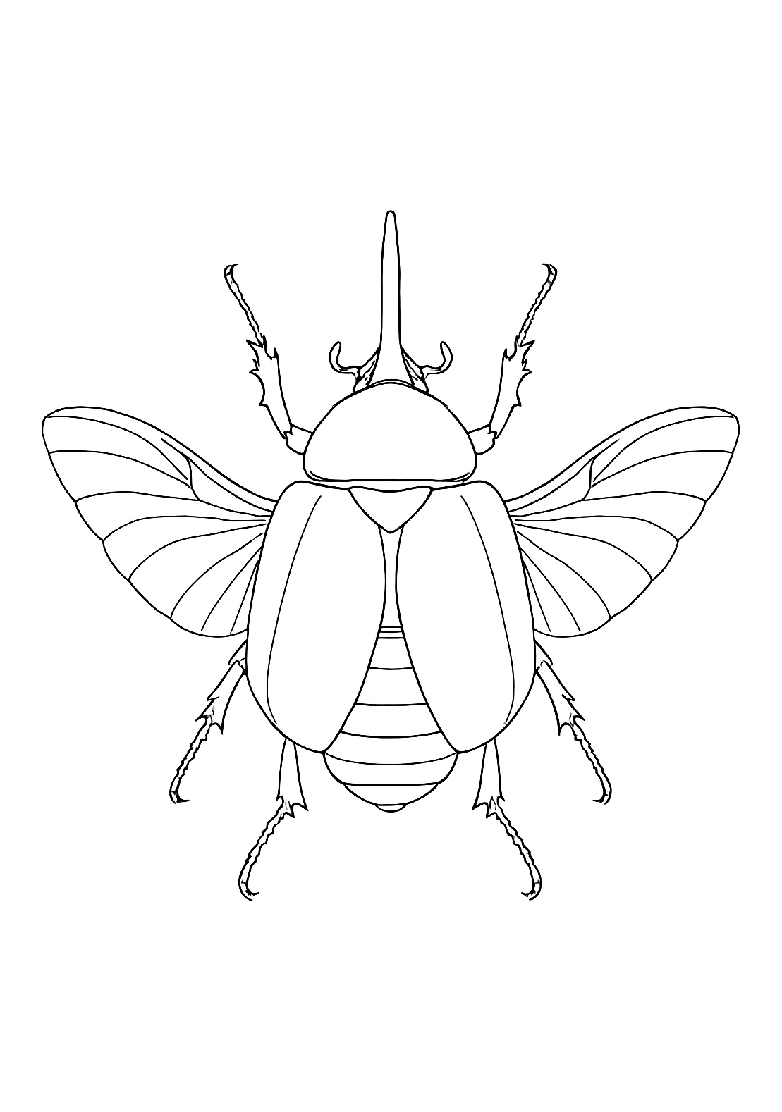 Rhinocéros d’Anvers