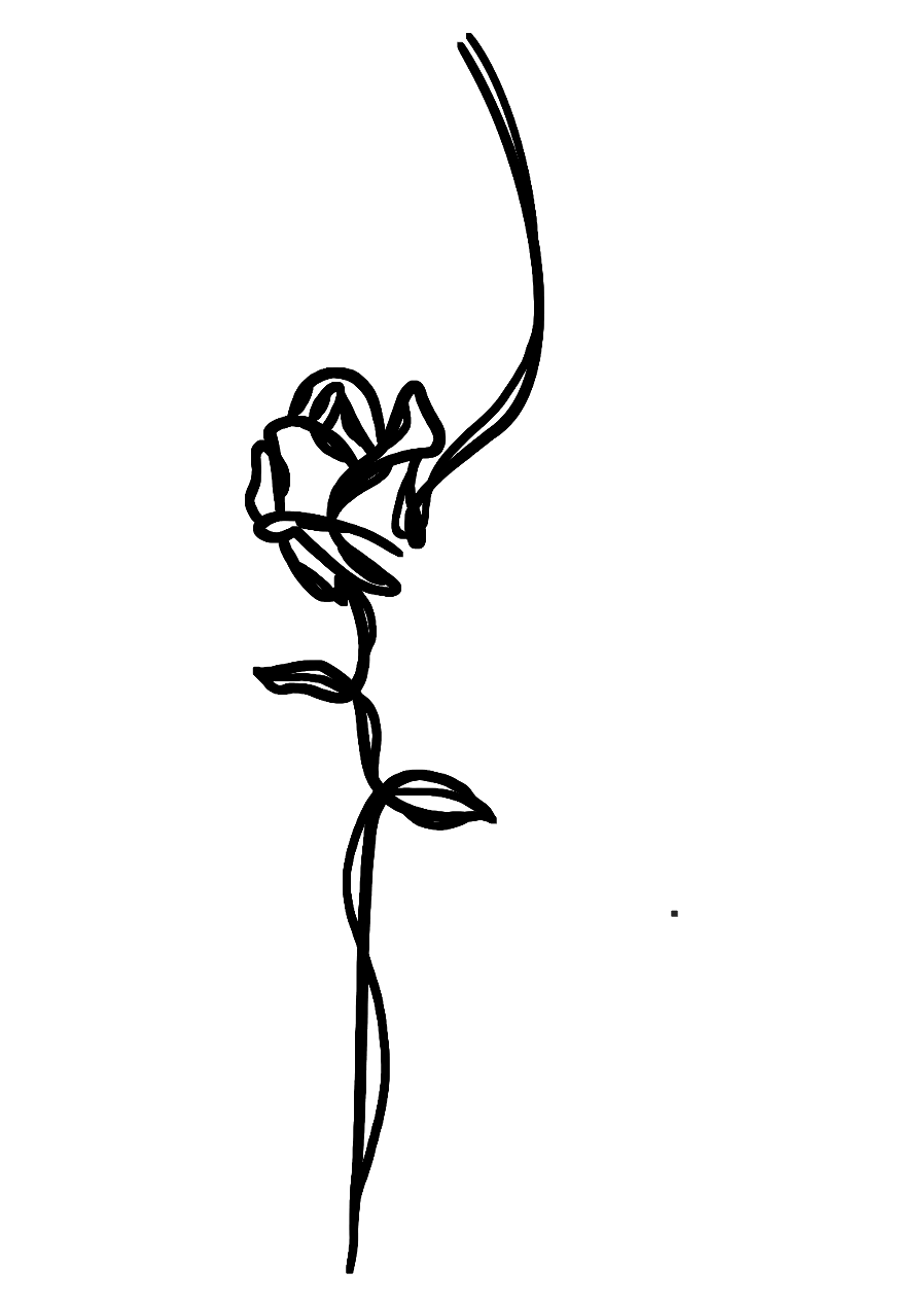 Rose de Sissi