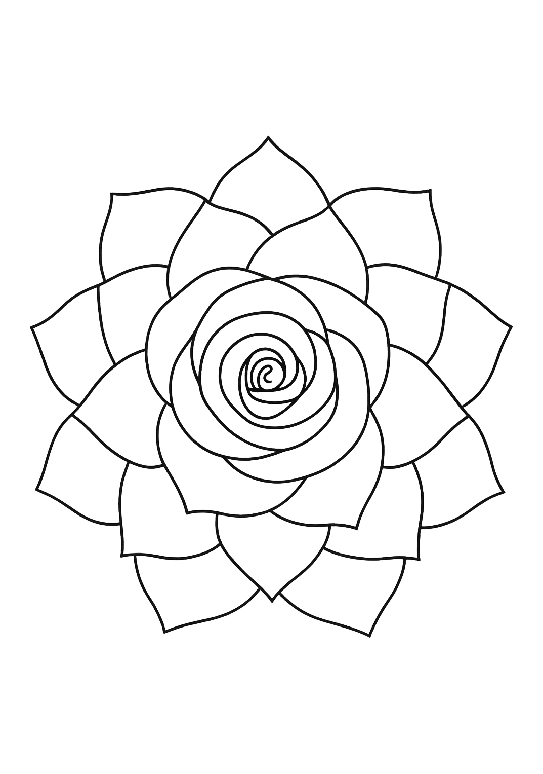 Rose musquée de Grèce
