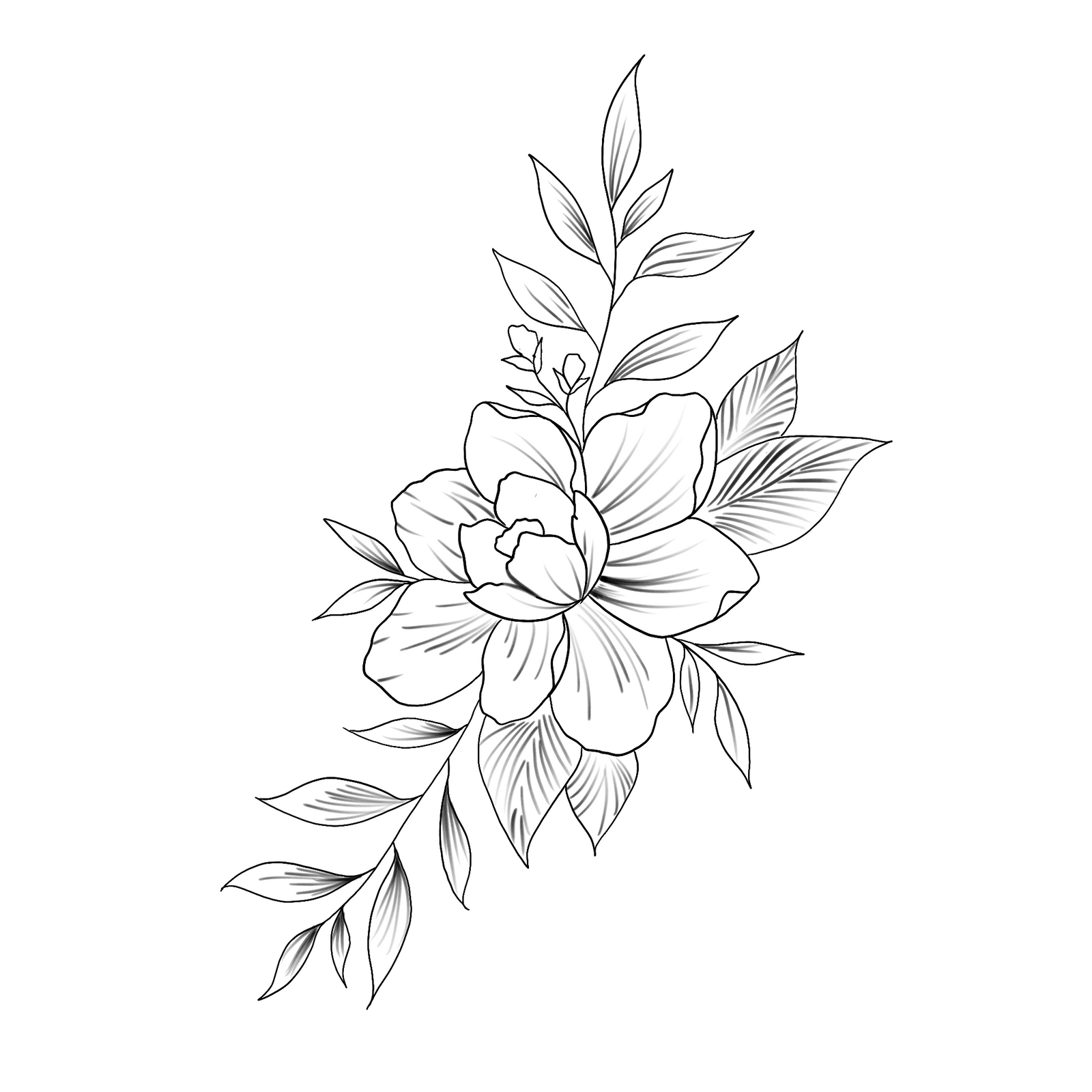 Pivoine de Suzhou