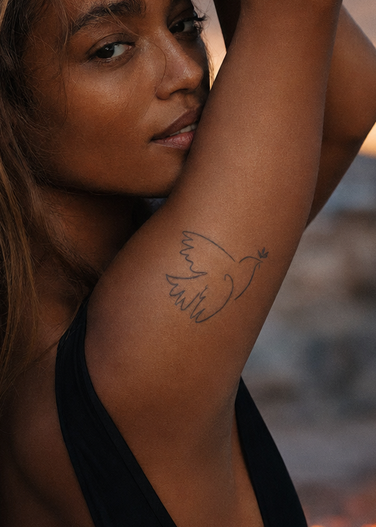 Colombe de Picasso. Picasso dove of peace: one continuous-line bird with wings open, olive branch at the beak, inner bicep on near arm, golden hour, soft warm light from one side.