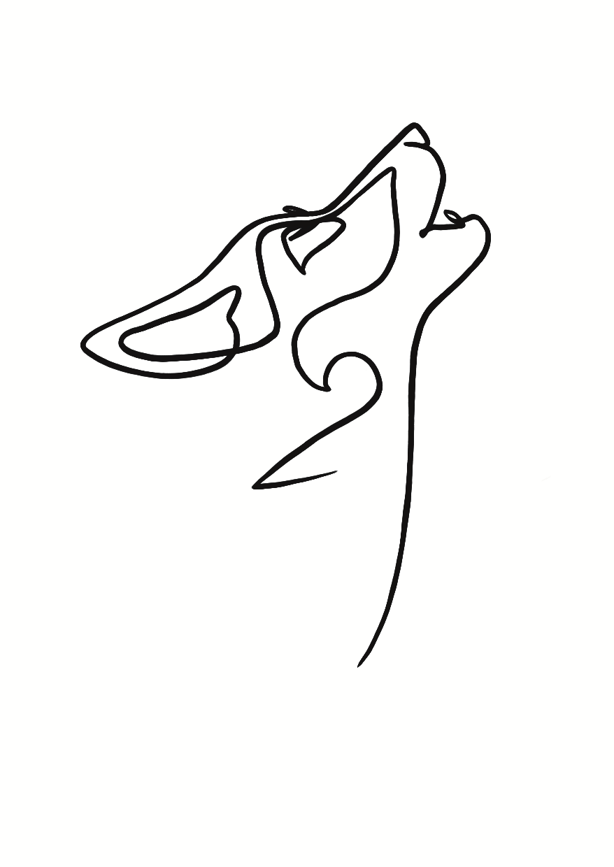 Muse de Minuit