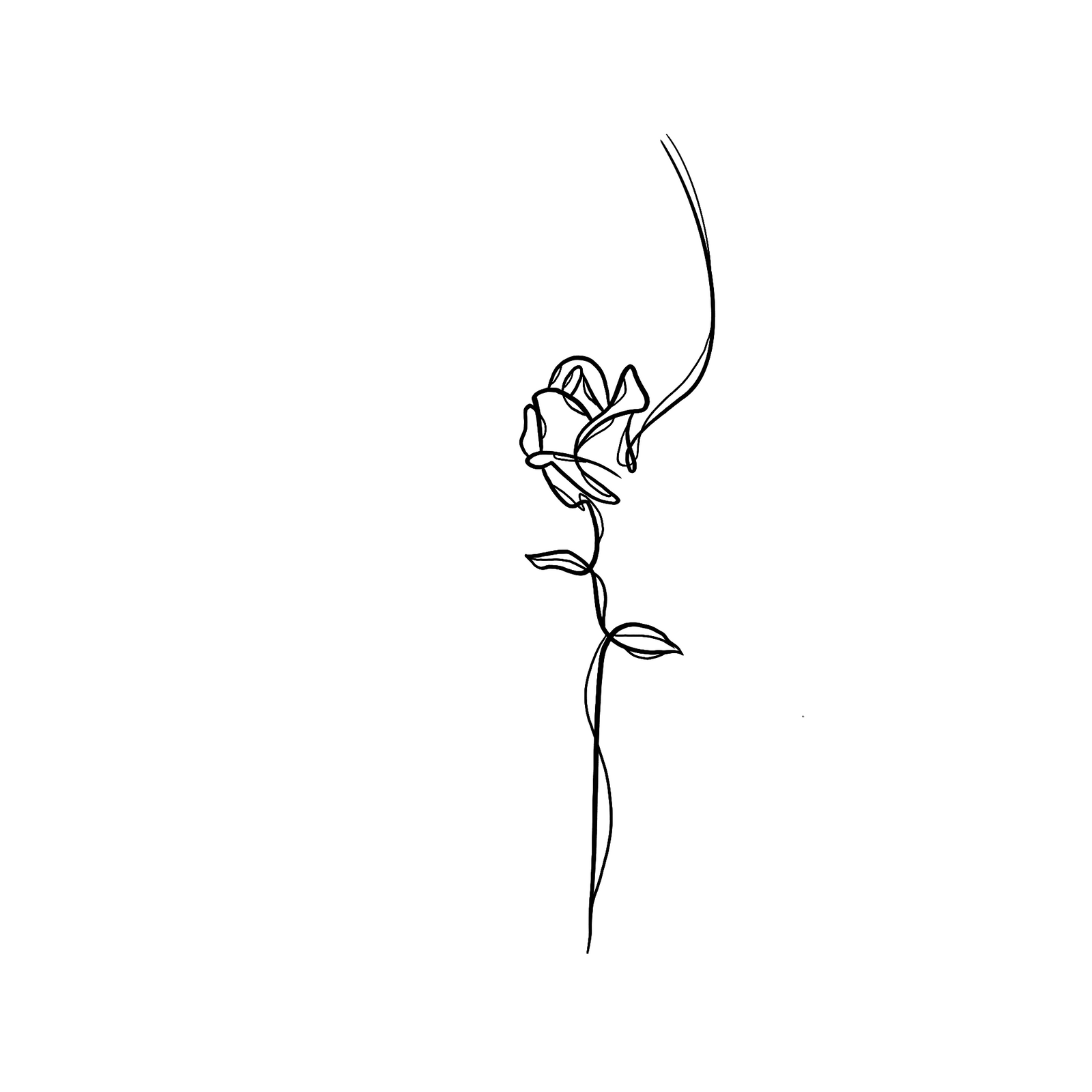Rose de Sissi