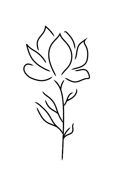 Magnolia de Charleston