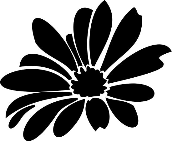 Fleur de Marguerite