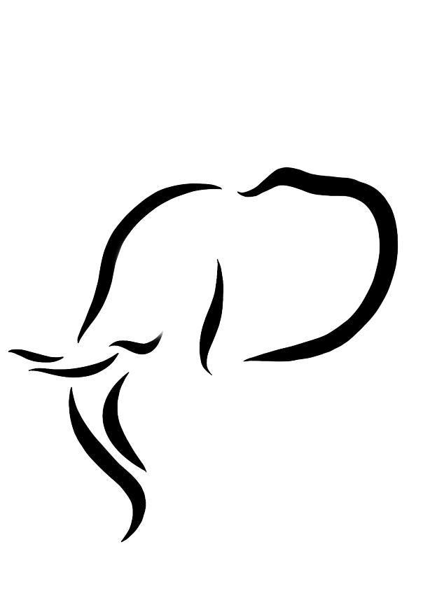 Éléphant de Jaipur