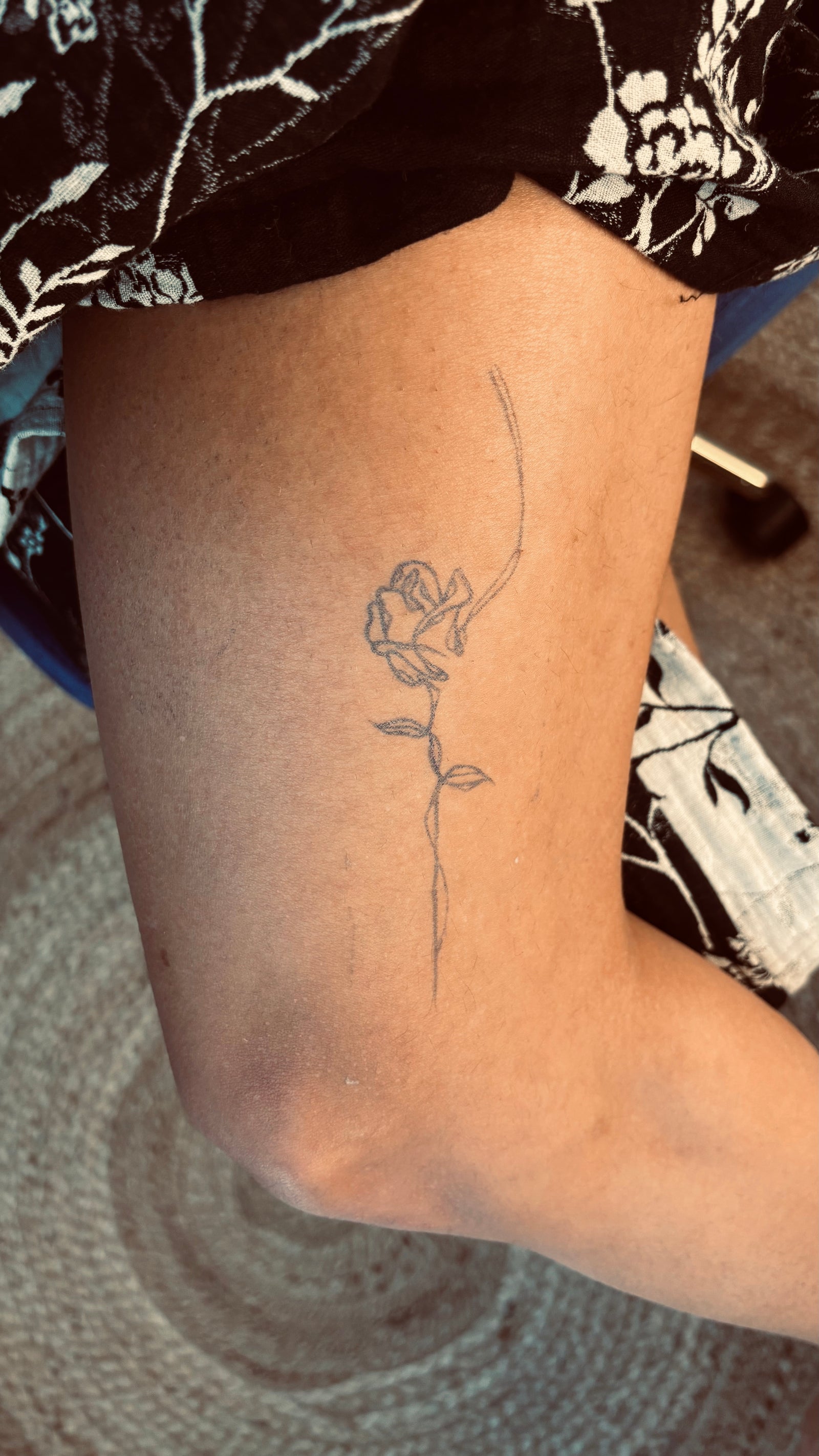 Rose de Sissi