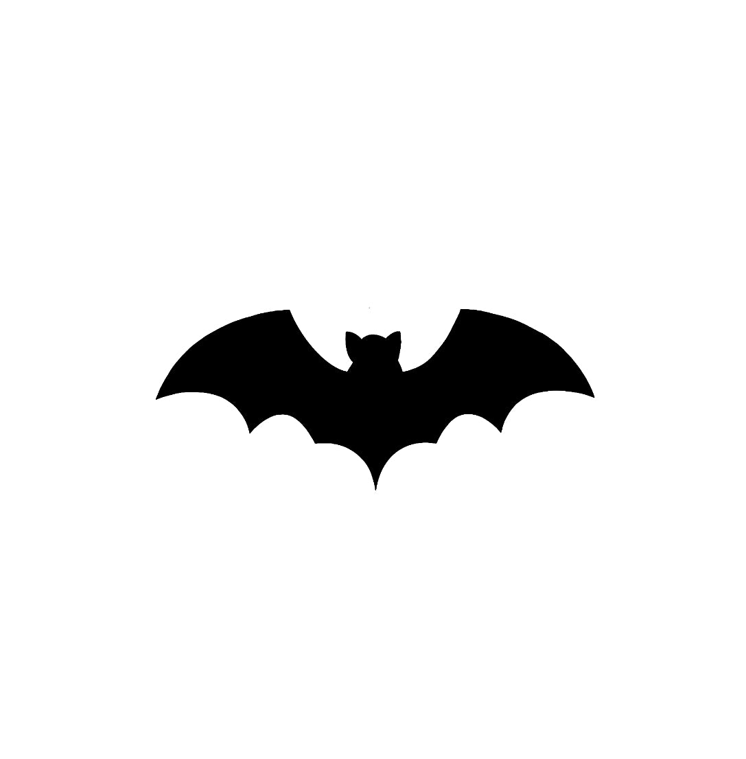 Chauve-souris des Carpates