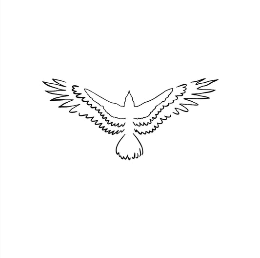 Aigle royale