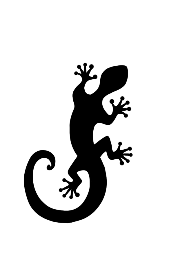 Gecko de la Réunion