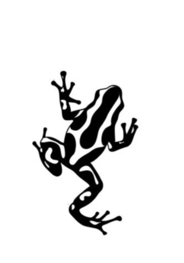 Grenouille d’Amazonie