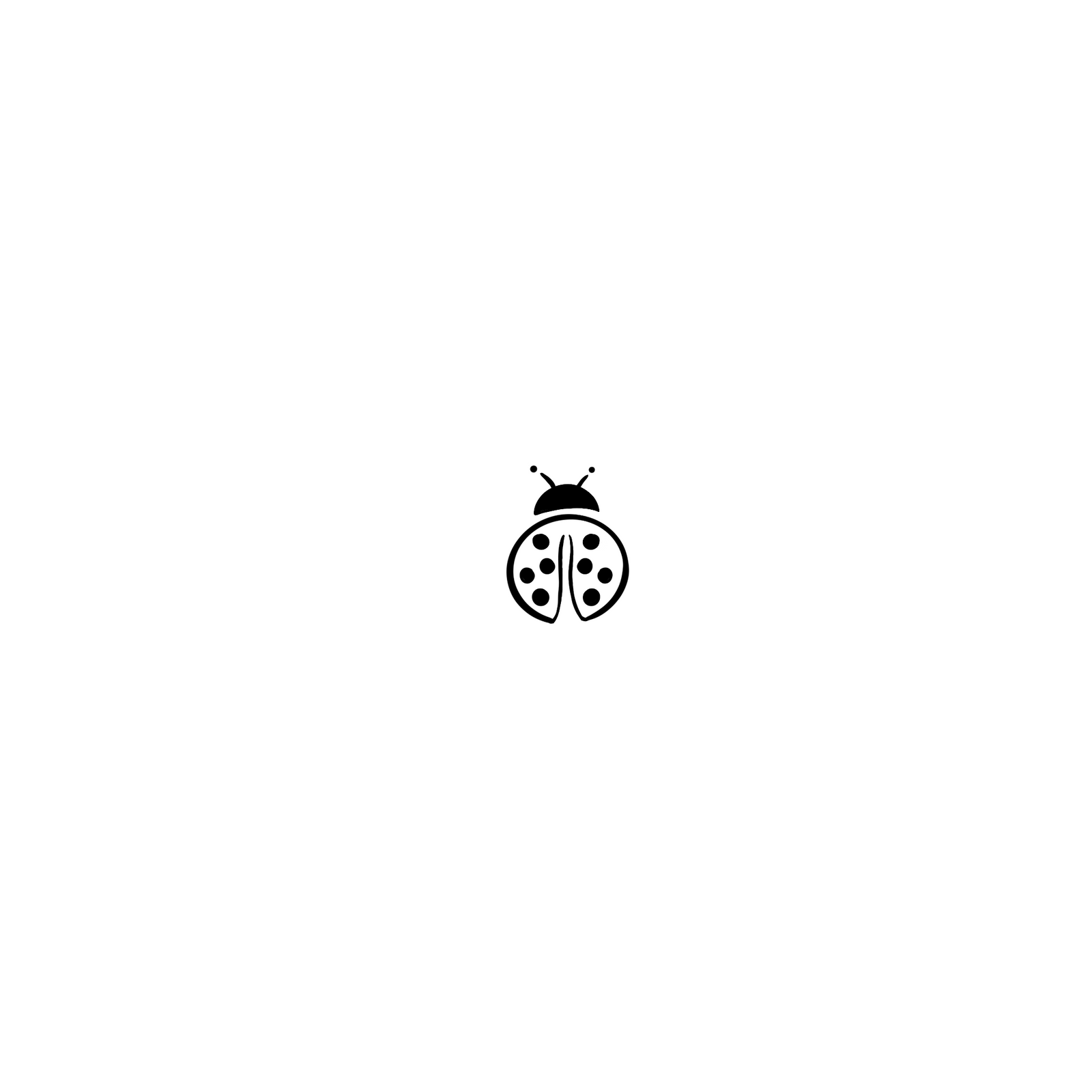 Coccinelle de Provence