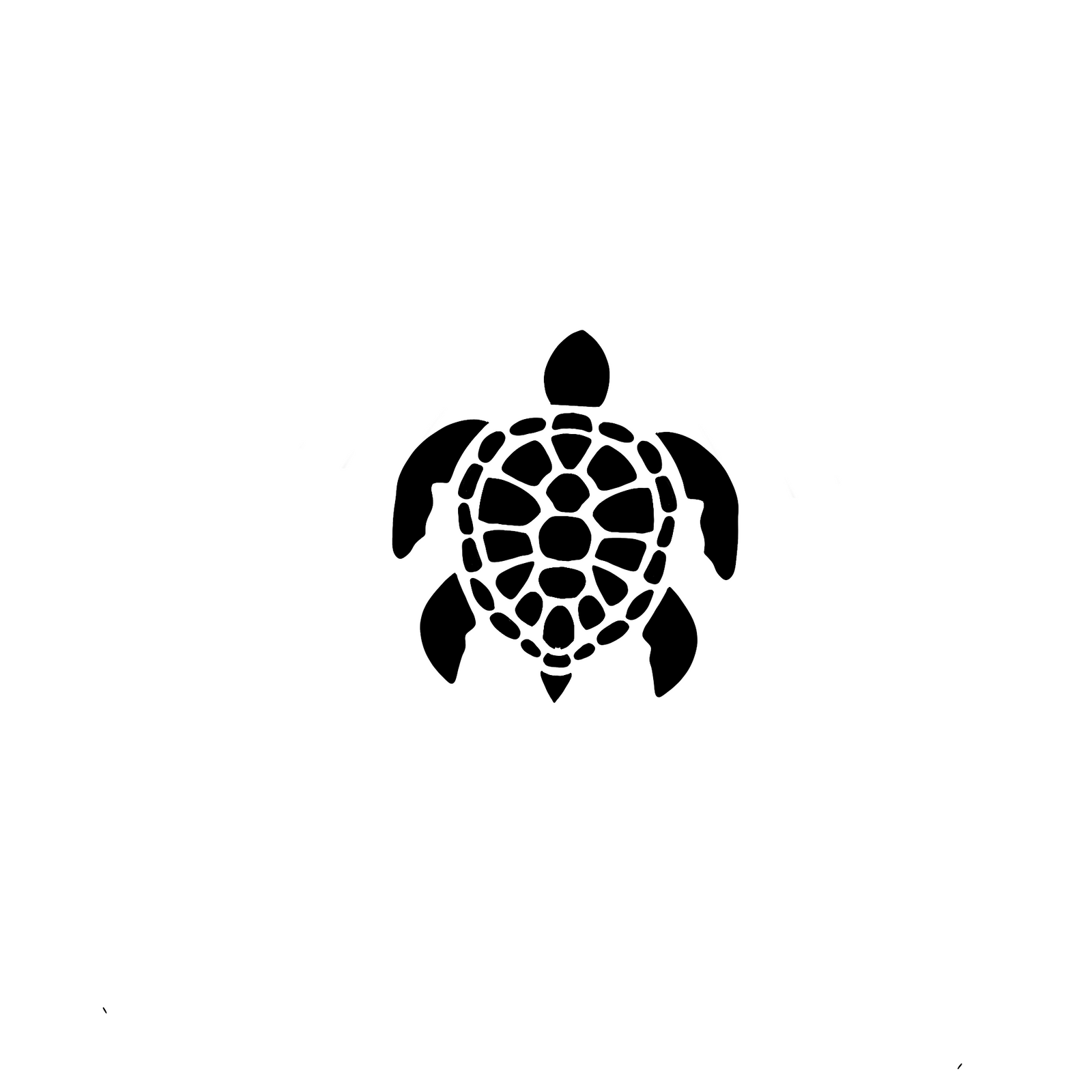 Tortue de Comporta