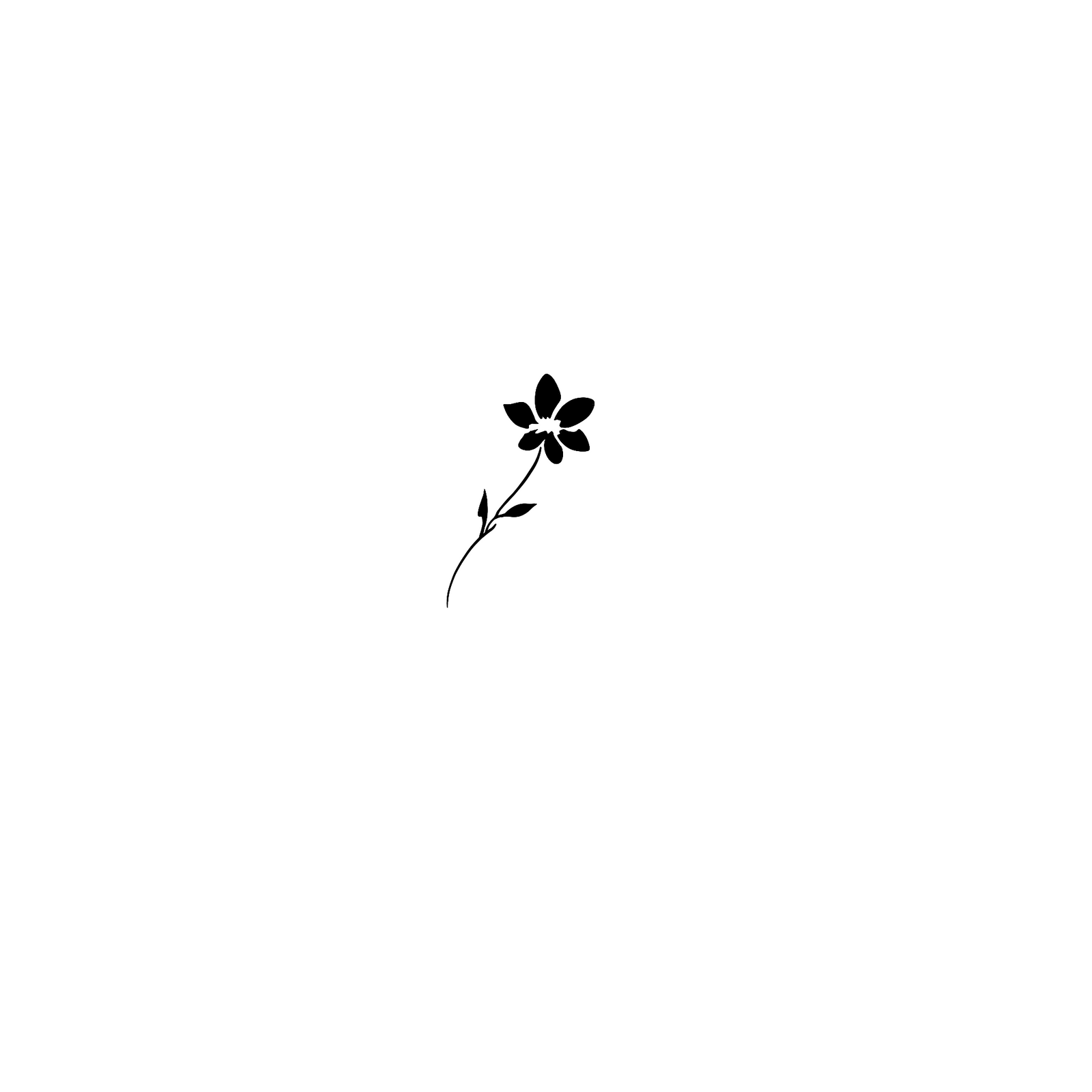Petite Fleur des Montagnes
