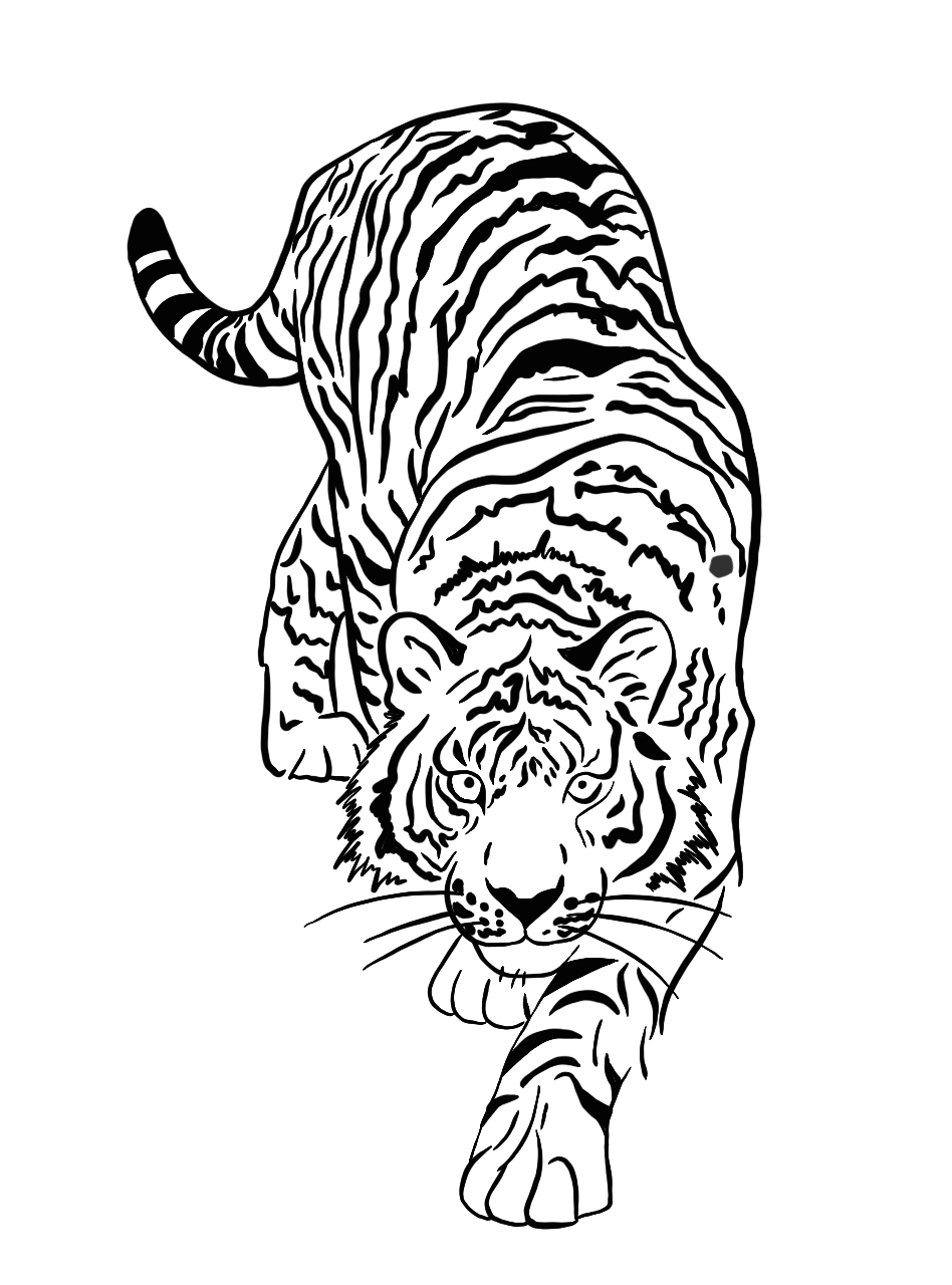 Tigre du Mékong