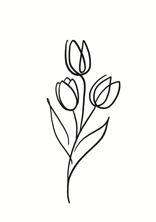 Tulipes d’Amsterdam