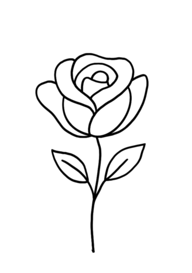 Rose d’Épure