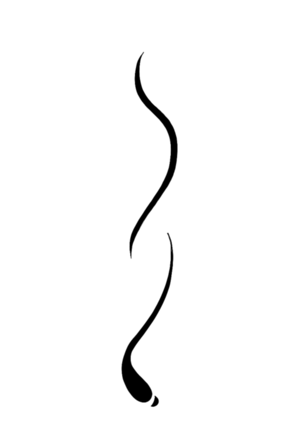 Muse de Sienne