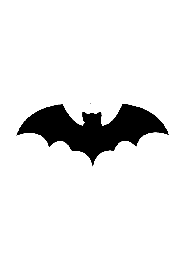 Chauve-souris de Sumatra
