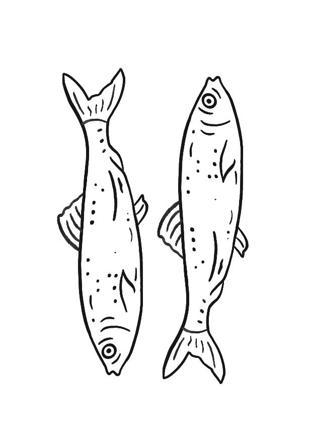 Sardines d'Atlantique