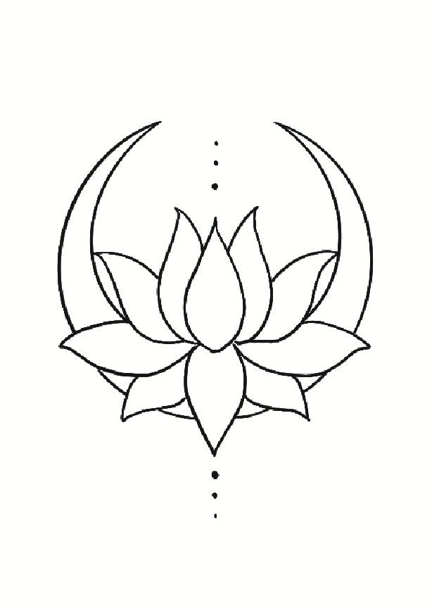 Lotus du Nil