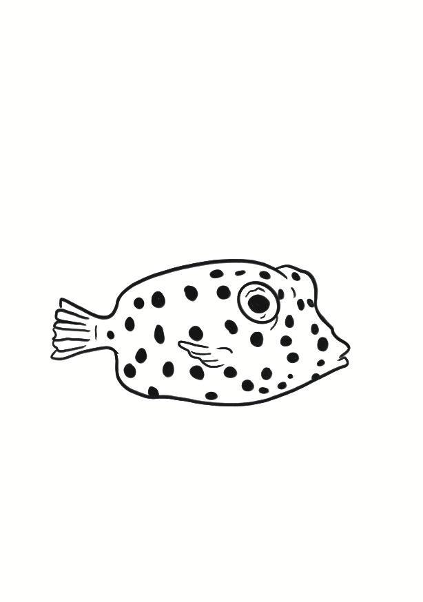 Poisson des Lagons