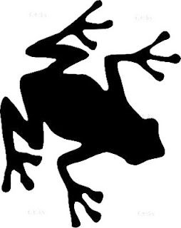 Grenouille de Manaus