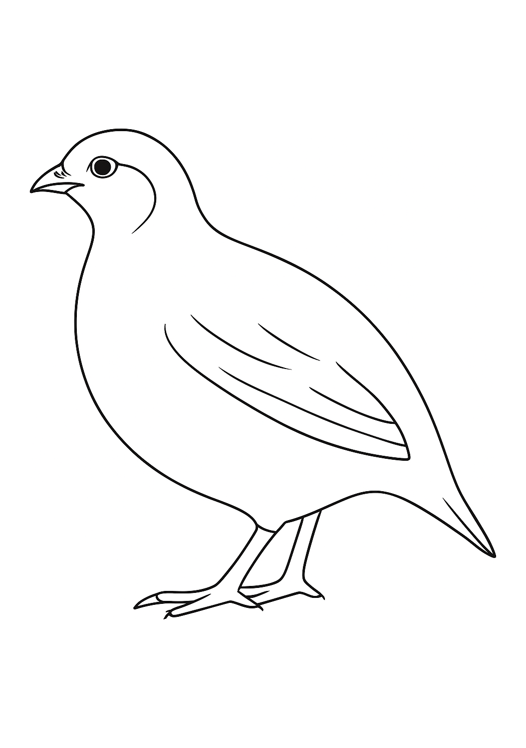 Caille du Valois