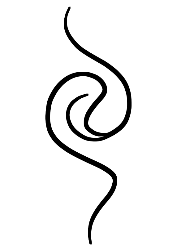 Calligraphie de Sanaa