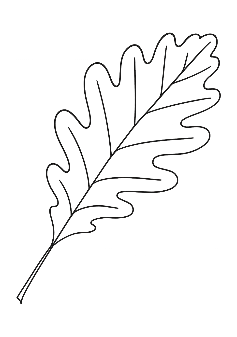 Chêne de Gascogne