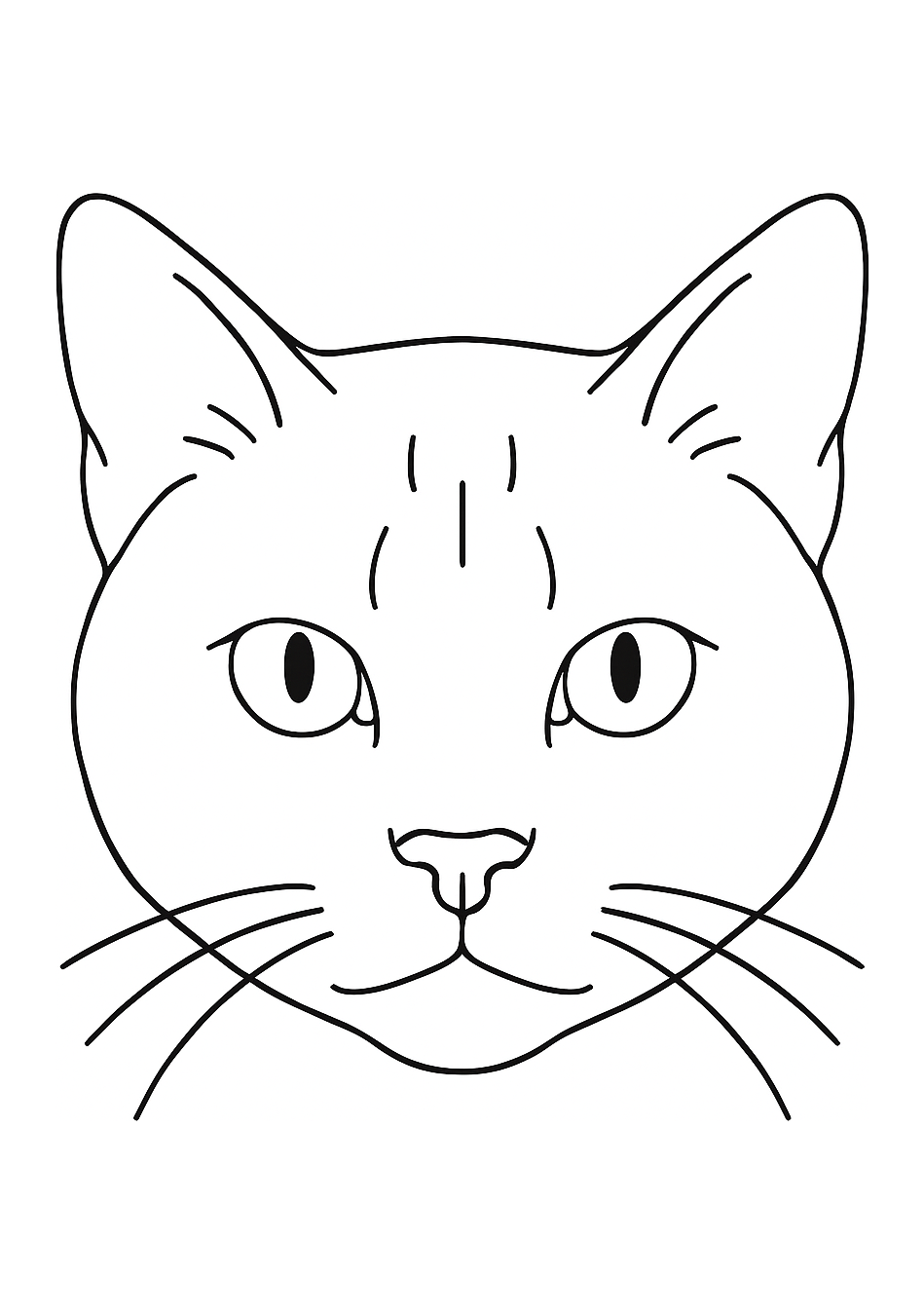 Chinchilla des Andes