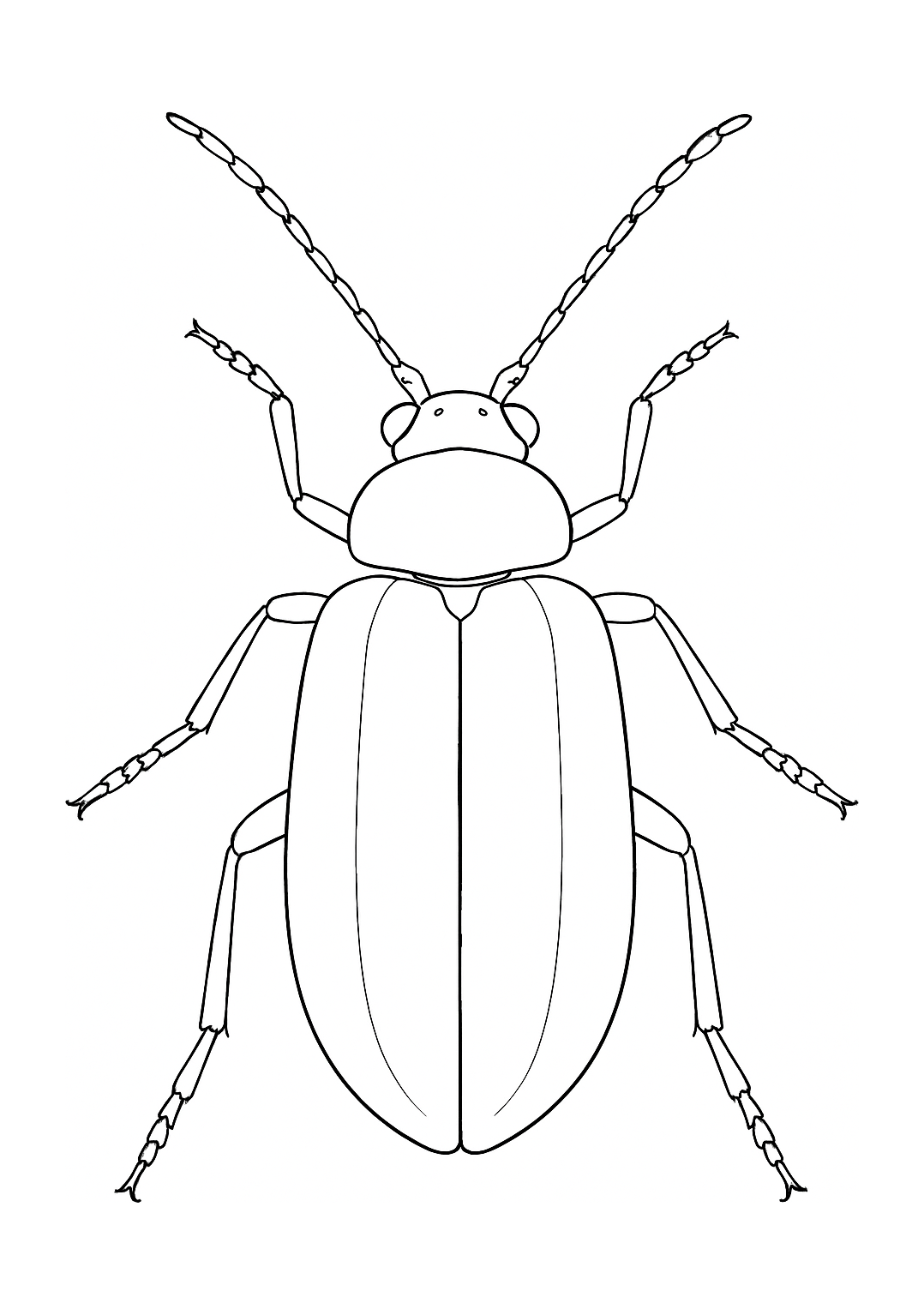 Chrysomèle d’Azincourt