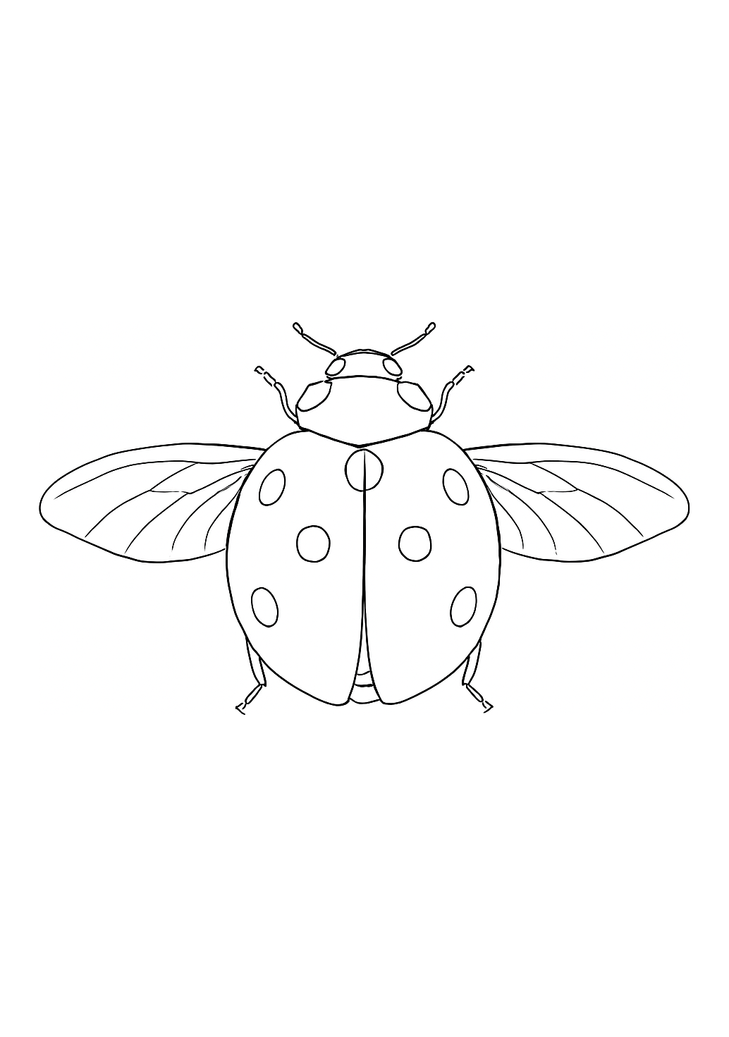 Coccinelle de la Prairie d’Artois