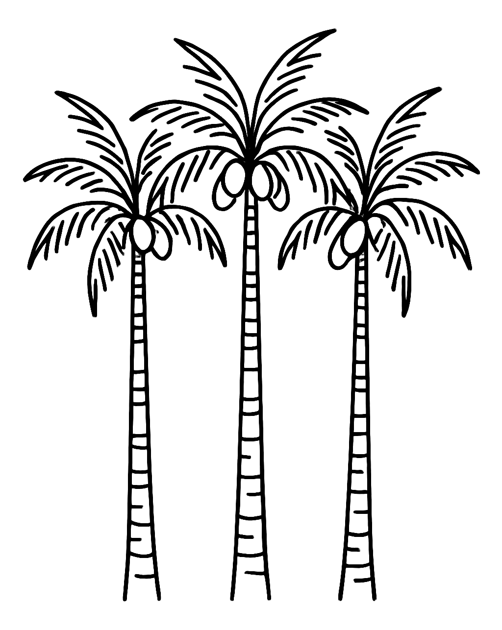 Cocotiers de Cayenne
