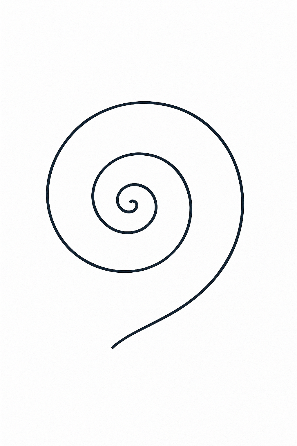 Coquille de Nautilus