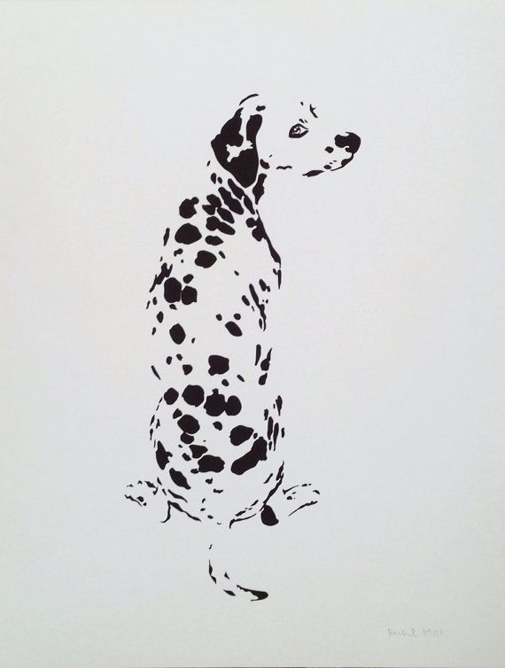 Taches de Dalmatien