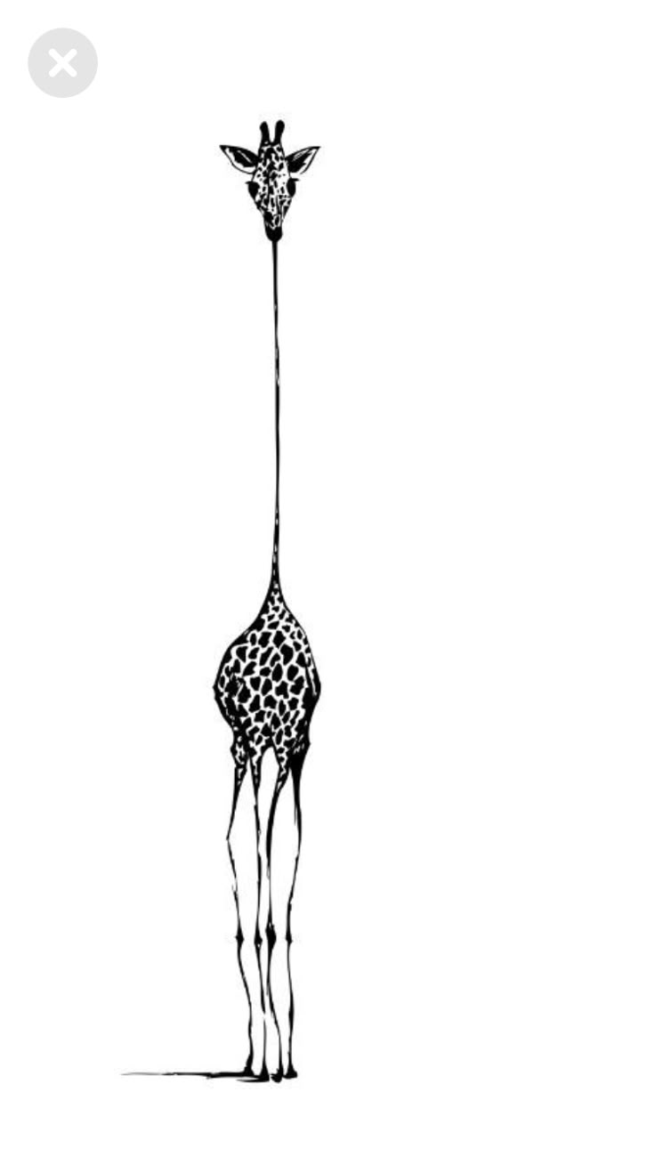 Ligne de Girafe