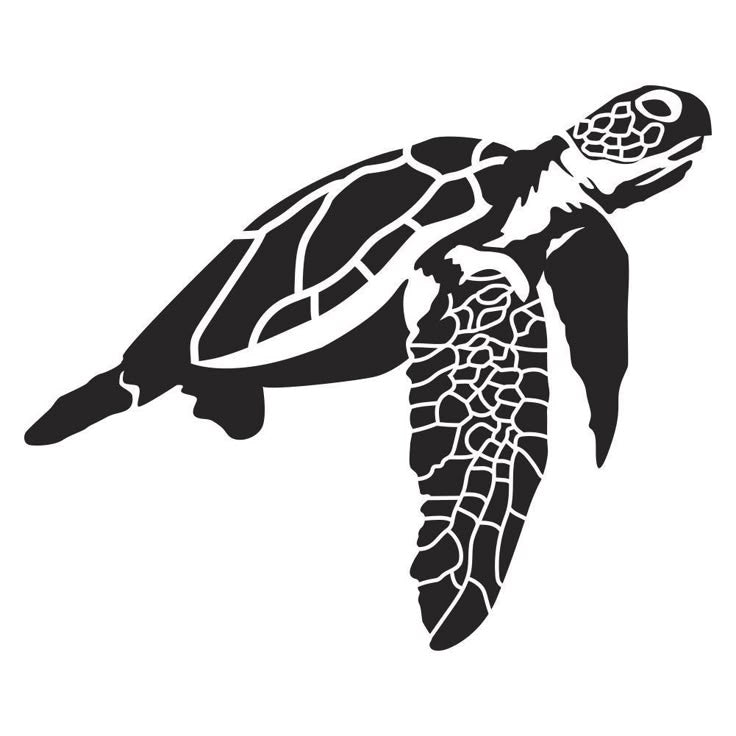 Tortue de KaniKeli