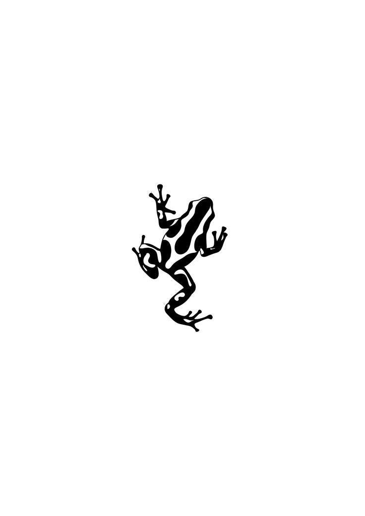 Grenouille d'Amazonie