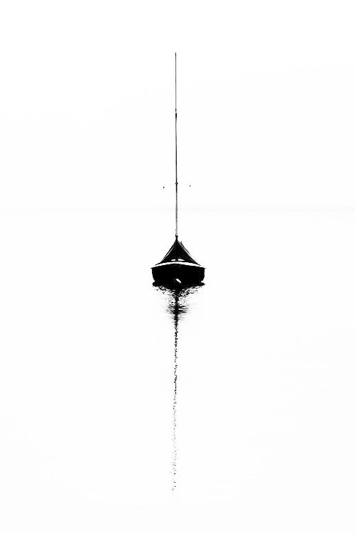 Lignes de Flottaison