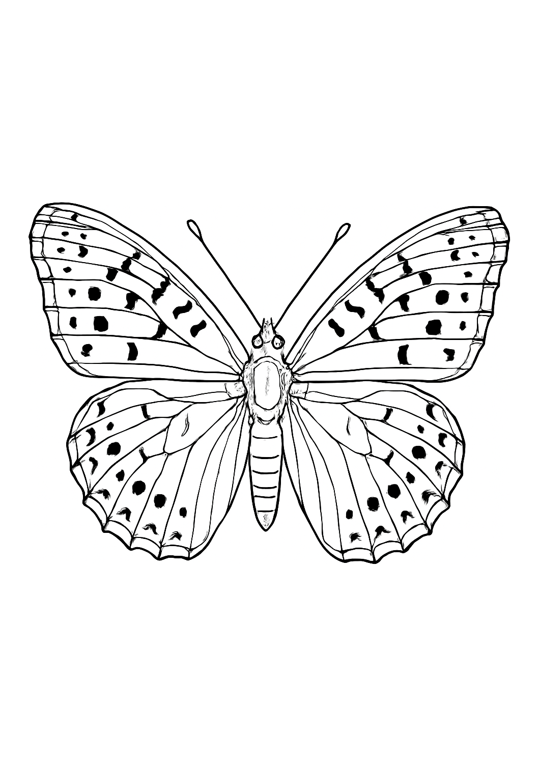 Fabriciana des Jardins de Gênes